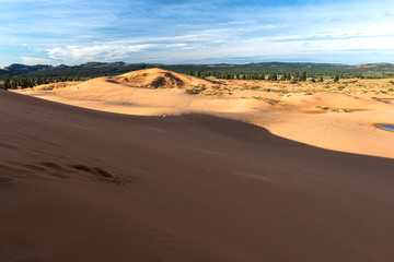 Fototapeta na wymiar coral pink sand dunes
