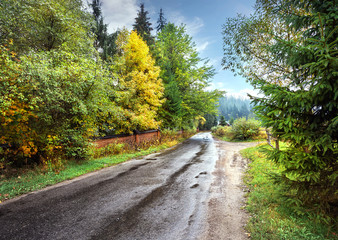 Asphalt road among autumn trees