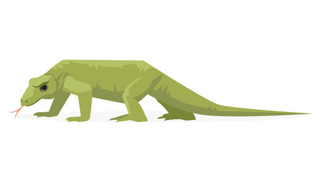 lagarto drag&oacute;n de komodo
