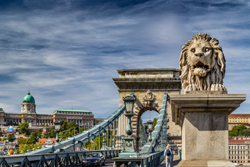 Fototapeta na wymiar Lion on Chain Bridge in Budapest