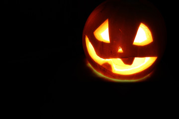 Halloween pumpkin leaves fall