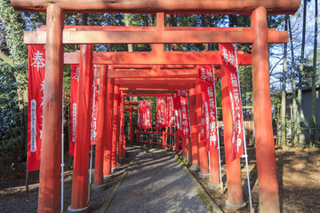 Fototapeta na wymiar A torii is a traditional Japanese gate.