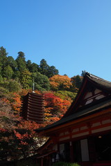 談山神社