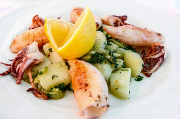 Squids cooked on the grill