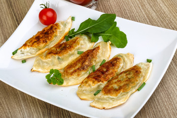 Japan traditional cuisine - Gyoza