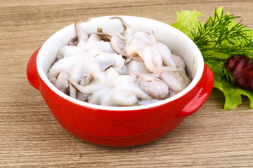 Raw baby octopus