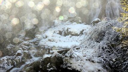 Abstract View of Winter During Snowing