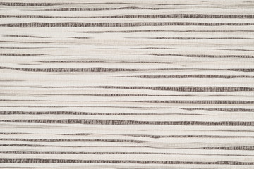 Birch background paper texture