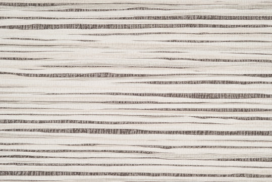 Birch background paper texture