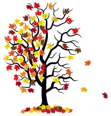Baumsilhouette mit Herbstlaub