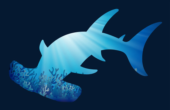 Save wildlife theme with whaleshark
