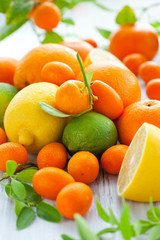 Citrus fresh fruits