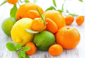 Citrus fresh fruits