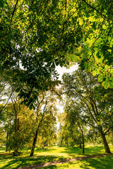 Fototapeta premium Herbst