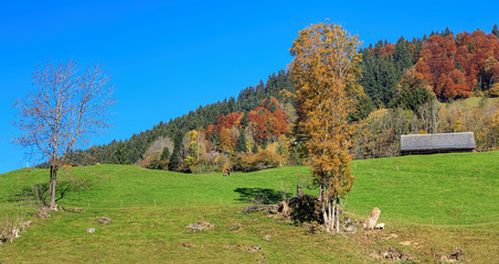 View in Alps in autumn.