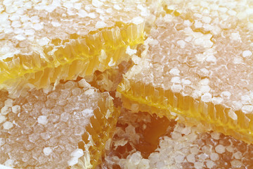 Honeycomb macro images
