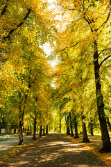 Naklejka premium Herbst