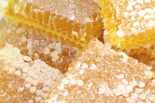 Honeycomb macro images
