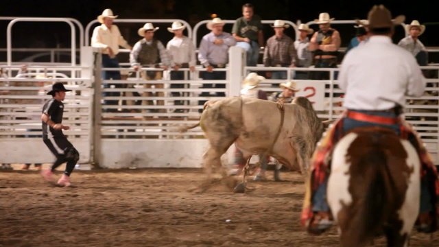 Bull riding chute 1 P HD 1014