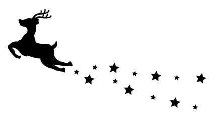 Obraz premium fliegendes Reniter mit Sternenschweif