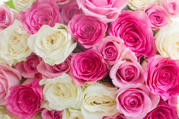 bouquet of fresh roses