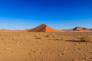 Fototapeta na wymiar Big red sand dune landscape Sossusvlei