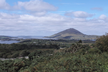 Fototapeta premium Connemara National Park 58
