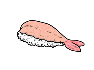 Prawn Sushi, a hand drawn vector illustration of a prawn sushi (Ebi Nigiri).