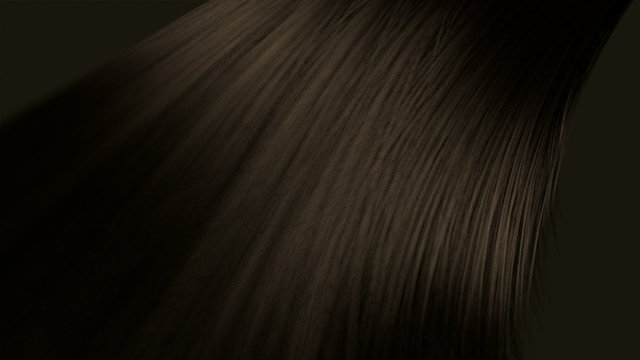 hair blowing brown animation