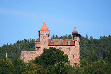 Fototapeta na wymiar Burg Berwartstein