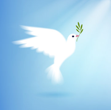 Dove of Peace