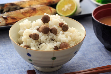 Cooked rice with propagule of Japanese yam