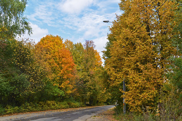 Obraz premium In early autumn park on sunny day