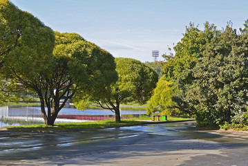 In early autumn park on  sunny day