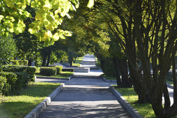 In early autumn park on  sunny day