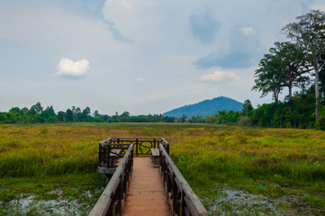 Obraz premium Jetty into the green with mountain in background