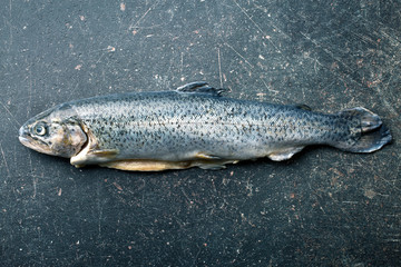 the gutted trout on kitchen table
