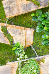 Waterfall with wooden box, gardening design.
