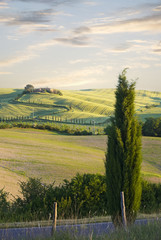 Wavy hills, cypress and the destroyed estate