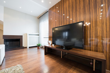 Interior of a modern living room with shiny wall of lacquered wo