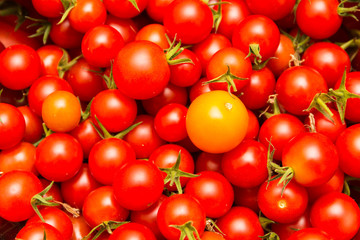 Rote und Orange Tomaten