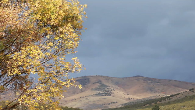 Autumn storn over mountain P HD 0898