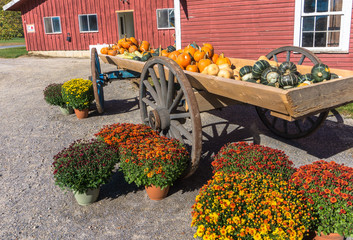 wagon with squash and pumpkins for sale in the fall and potted mums in bloom

