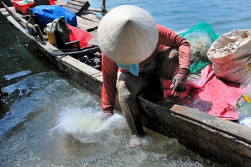 Woman cleaning fishing nets on the lake, Dong Nai province, Vietnam