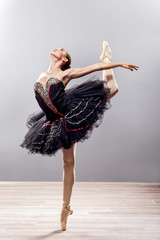 beautiful ballerina in point technique © V&P Photo Studio