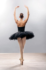 beautiful young ballerina in ballet pose