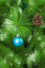 Fototapeta na wymiar Christmas ball on fir branches