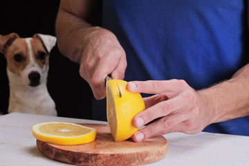 Man in kitchen preparing dinner, meal, salad, with dog watching. Funny image. Vegetarian People and pets concept.