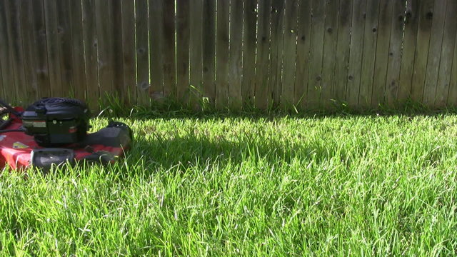 Mowing grass in yard by fence HD