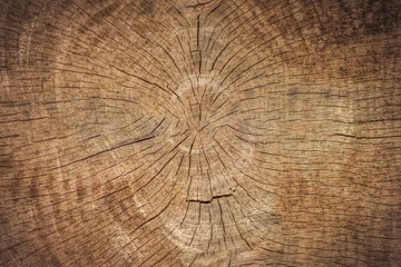 Selbstklebende Fototapete Brennholz Textur Alte Holzstruktur